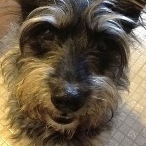 Meet your Posher, Carla